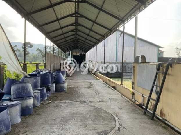 Gudang Bagus Dijual di Salatiga Salatiga Strategis Cocok untuk Kembangkan Bisnis Gudang Bagus Dijual di Salatiga Salatiga Strategis Cocok untuk Kembangkan Bisnis