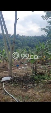 Tanah Dijual Lokasi Cigudeg Bogor SHM Tanah Dijual Lokasi Cigudeg Bogor SHM