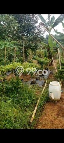 Tanah Dijual Lokasi Cigudeg Bogor SHM Tanah Dijual Lokasi Cigudeg Bogor SHM