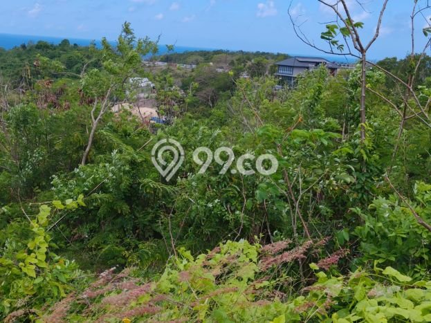 Tanah Disewa di Ungasan Strategis dan Memiliki Luas 11500m2 Tanah Disewa di Ungasan Strategis dan Memiliki Luas 11500m2