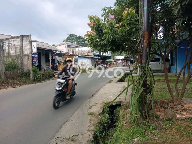 Jarang Ada! Tanah di Cibinong Punya Luas 1200m2 SHM Jarang Ada! Tanah di Cibinong Punya Luas 1200m2 SHM