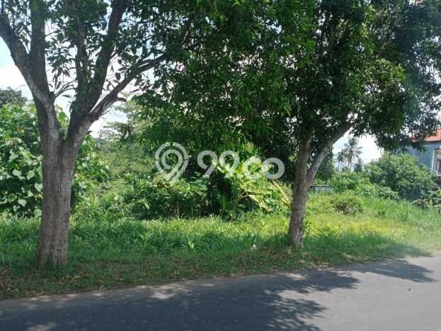Kavling Tanah di Karangasem Dijual Luas 994m2 Legalitas SHM Kavling Tanah di Karangasem Dijual Luas 994m2 Legalitas SHM