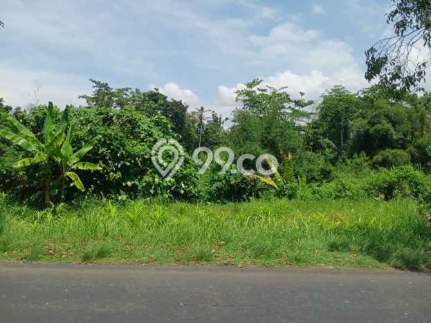 Kavling Tanah di Karangasem Dijual Luas 994m2 Legalitas SHM Kavling Tanah di Karangasem Dijual Luas 994m2 Legalitas SHM