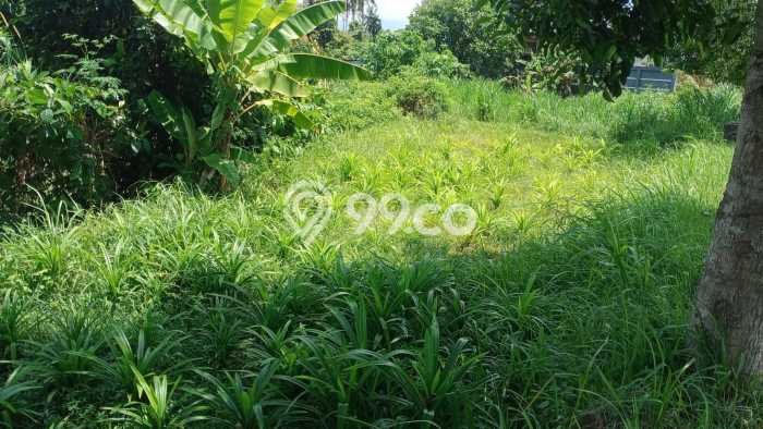 Kavling Tanah di Karangasem Dijual Luas 994m2 Legalitas SHM Kavling Tanah di Karangasem Dijual Luas 994m2 Legalitas SHM