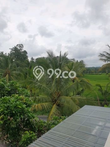 Dijual Vila di Tampaksiring, Ukuran 200m2m², Lingkungan Asri Dijual Vila di Tampaksiring, Ukuran 200m2m², Lingkungan Asri