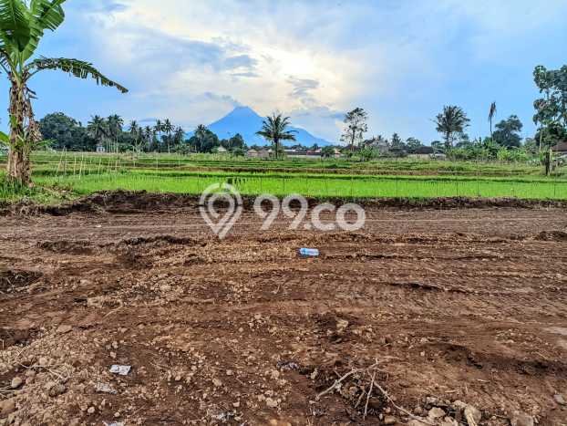 Untuk Dijual Tanah di Ngaglik Sleman Luas 148m2 SHM Untuk Dijual Tanah di Ngaglik Sleman Luas 148m2 SHM
