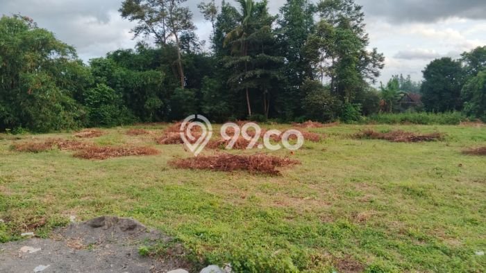 Dijual Tanah Lokasi Sleman, Yogyakarta Seluas 164m2 Dijual Tanah Lokasi Sleman, Yogyakarta Seluas 164m2
