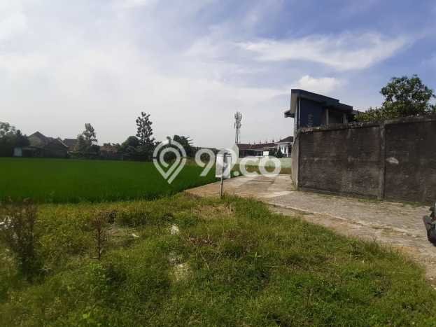 Tanah Dijual Area Strategis di Condong Catur Sleman 188m2 Tanah Dijual Area Strategis di Condong Catur Sleman 188m2