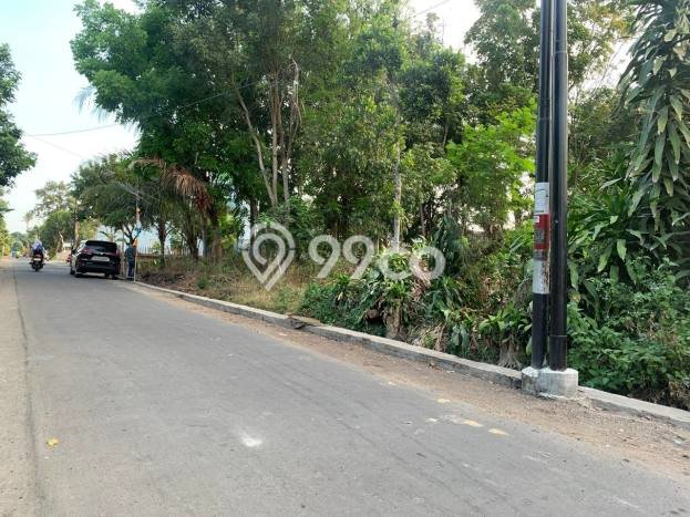 Tanah Dijual di Sleman Seluas 119m2 Strategis Tanah Dijual di Sleman Seluas 119m2 Strategis