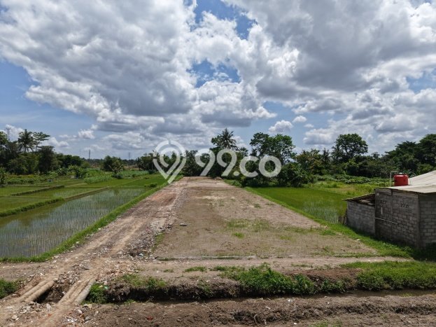 Lahan Investasi Lokasi Ngaglik Sleman SHM Lahan Investasi Lokasi Ngaglik Sleman SHM