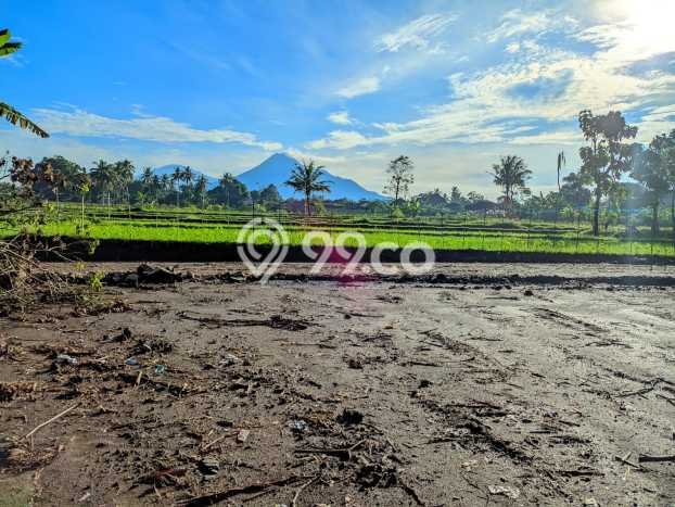 Tanah di Sleman, Luas 146m2m², Dekat Sleman, Sleman, Sleman Tanah di Sleman, Luas 146m2m², Dekat Sleman, Sleman, Sleman