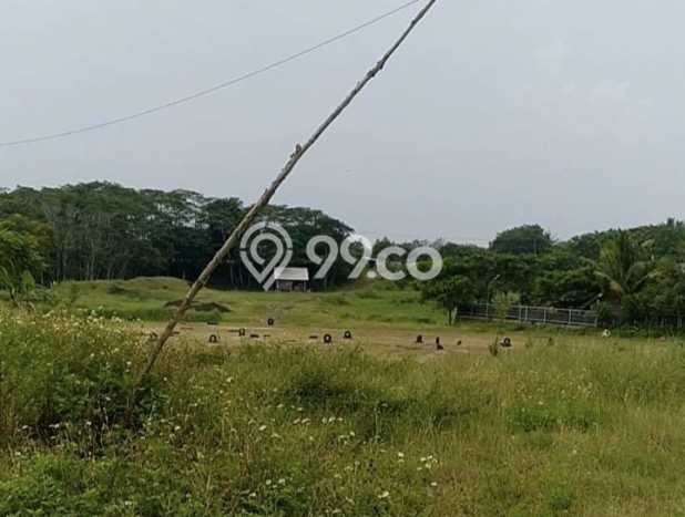Tanah Dijual Lokasi Kronjo, Tangerang Luas 210000m2 Legalitas Aman Tanah Dijual Lokasi Kronjo, Tangerang Luas 210000m2 Legalitas Aman