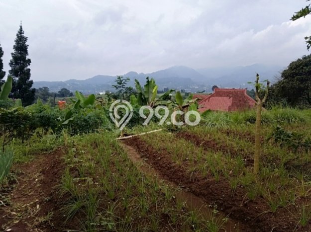Jarang Ada! Tanah di Megamendung Punya Luas 2000m2 SHM Jarang Ada! Tanah di Megamendung Punya Luas 2000m2 SHM