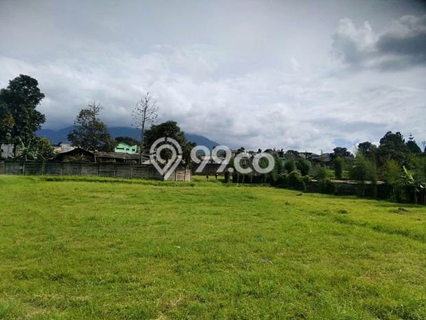 Tanah Dijual Area Strategis di Puncak Bogor 30000m2 Tanah Dijual Area Strategis di Puncak Bogor 30000m2