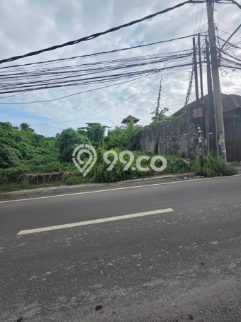Disewakan Tanah di canggu Badung Seluas 2150m2 Disewakan Tanah di canggu Badung Seluas 2150m2