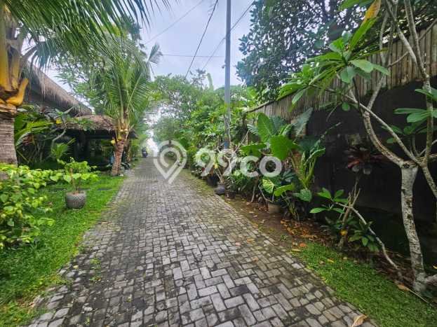 Tanah Kavling Dijual di Badung dengan Spesifikasi 320m2 Tanah Kavling Dijual di Badung dengan Spesifikasi 320m2