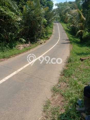 Kavling Tanah untuk Dijual di Singaraja, Buleleng, Luas 110000m2 Kavling Tanah untuk Dijual di Singaraja, Buleleng, Luas 110000m2