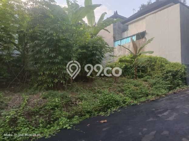Dijual Tanah di Kediri Tabanan Luas 100m2 SHM Dijual Tanah di Kediri Tabanan Luas 100m2 SHM