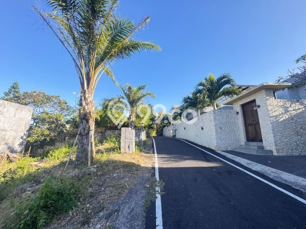 Tanah Investasi Dijual di Badung Punya Luas 3970m2 Tanah Investasi Dijual di Badung Punya Luas 3970m2
