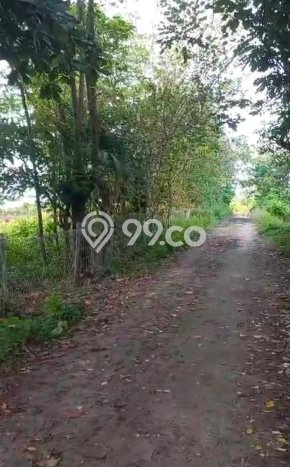 HARGA MENARIK! Tanah Kawasan , Luas 5125m2m², Lokasi Potensial HARGA MENARIK! Tanah Kawasan , Luas 5125m2m², Lokasi Potensial
