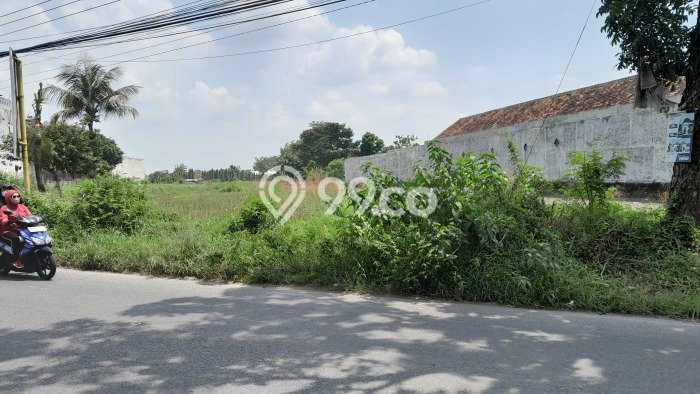 Tanah di Kebonarum, Klaten Luas 2795m2 Dijual Segera Tanah di Kebonarum, Klaten Luas 2795m2 Dijual Segera