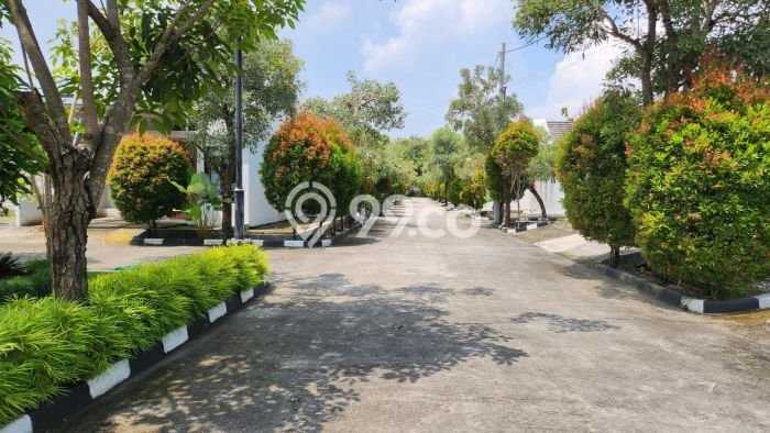 Jual Rumah Murah di Sragen Sragen Harga Rp 378 Juta LT 80m2 Jual Rumah Murah di Sragen Sragen Harga Rp 378 Juta LT 80m2