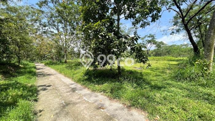 Lahan untuk Dijual Lokasi Mojosongo, Boyolali Luas 1967m2 SHM Lahan untuk Dijual Lokasi Mojosongo, Boyolali Luas 1967m2 SHM