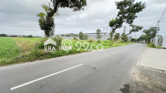 Tanah Dijual Lokasi Gatak, Sukoharjo Luas 1525m2 Legalitas Aman Tanah Dijual Lokasi Gatak, Sukoharjo Luas 1525m2 Legalitas Aman