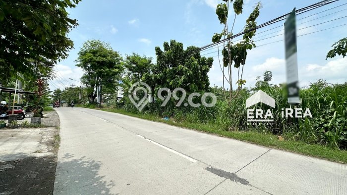 Untuk Dijual Tanah di Gondangrejo Karanganyar Luas 2840m2 SHM Untuk Dijual Tanah di Gondangrejo Karanganyar Luas 2840m2 SHM