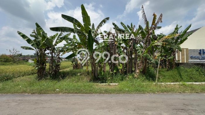 Tanah Dijual Lokasi Mojolaban, Sukoharjo Luas 285m2 Legalitas Aman Tanah Dijual Lokasi Mojolaban, Sukoharjo Luas 285m2 Legalitas Aman