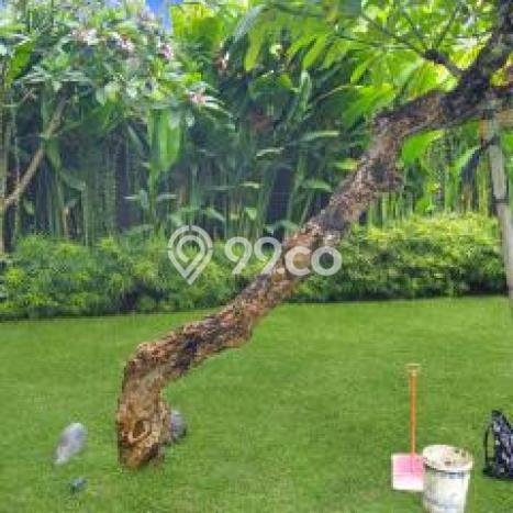 Vila Berkembang di , Area 680m2m², Lingkungan Asri untuk keluarga Vila Berkembang di , Area 680m2m², Lingkungan Asri untuk keluarga