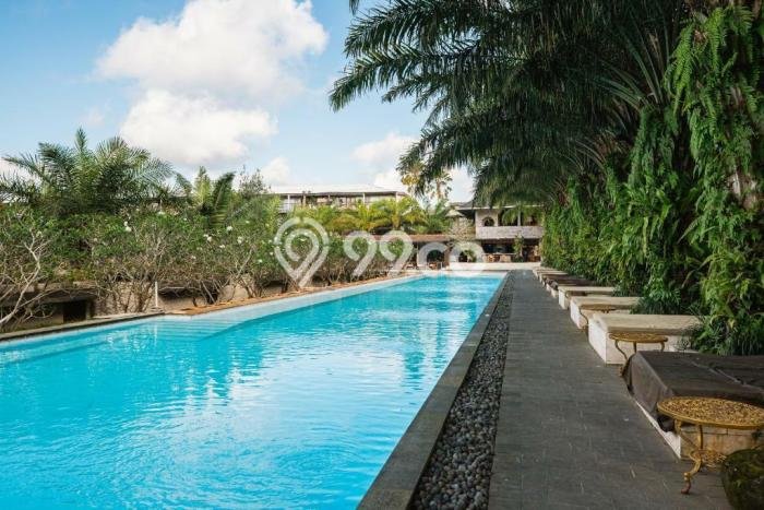 Dijual Cepat Apartemen High-Class di Tegallalang, Gianyar 1 Kamar Harga Rp 2,98 Miliar Dijual Cepat Apartemen High-Class di Tegallalang, Gianyar 1 Kamar Harga Rp 2,98 Miliar