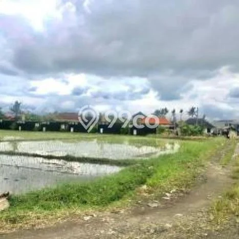 Tanah Disewa Strategis di Badung Luas 500m2 Tanah Disewa Strategis di Badung Luas 500m2