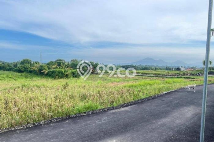 Tanah Dijual di Badung Seluas 550m2 Strategis Tanah Dijual di Badung Seluas 550m2 Strategis