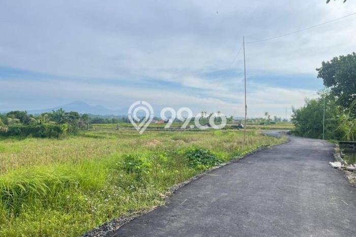 Tanah Dijual di Badung Seluas 550m2 Strategis Tanah Dijual di Badung Seluas 550m2 Strategis