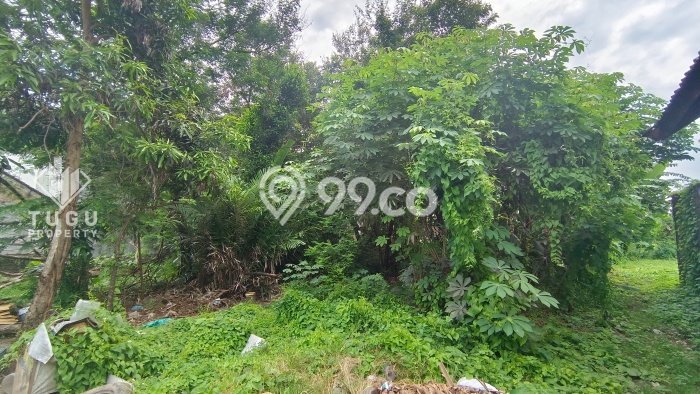 TANAH POTENSIAL! Tanah di Kasihan, Luas 610m2m², Jalur Mudah TANAH POTENSIAL! Tanah di Kasihan, Luas 610m2m², Jalur Mudah