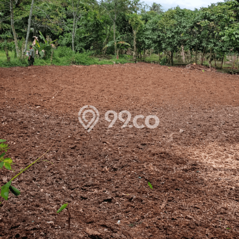 Tanah Dijual Lokasi Kemang Bogor SHM Tanah Dijual Lokasi Kemang Bogor SHM