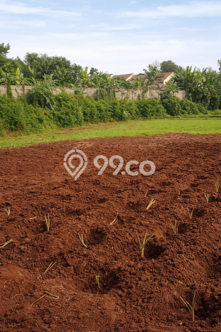 Lahan untuk Dijual Lokasi Ranca Bungur, Bogor Luas 2400m2 SHM Lahan untuk Dijual Lokasi Ranca Bungur, Bogor Luas 2400m2 SHM