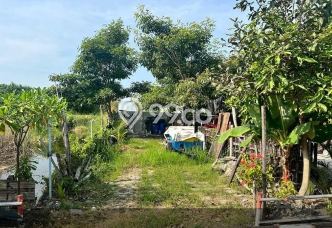 Tanah Dijual Lokasi Rungkut, Surabaya dengan Luas Tanah 100m2 dan Status SHM Tanah Dijual Lokasi Rungkut, Surabaya dengan Luas Tanah 100m2 dan Status SHM