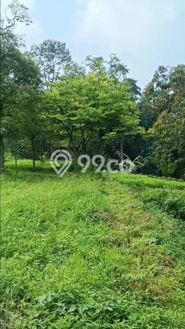Tanah Kavling di Tutur Dijual dengan Luas 30000m2 Tanah Kavling di Tutur Dijual dengan Luas 30000m2