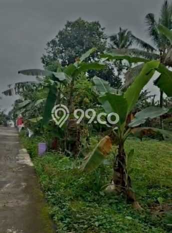 Tanah di Ampel, Boyolali Luas 765m2 Dijual Segera Tanah di Ampel, Boyolali Luas 765m2 Dijual Segera