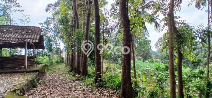 Lahan untuk Dijual di Gunung Pati Semarang Luas 10850m2 Lahan untuk Dijual di Gunung Pati Semarang Luas 10850m2
