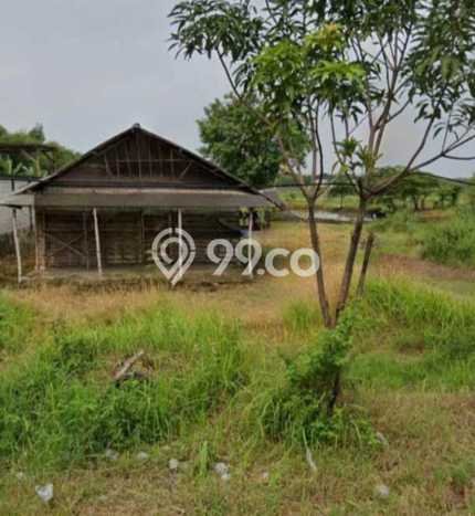Tanah Kavling untuk Dijual di Wringinanom Gresik 7250m2 Tanah Kavling untuk Dijual di Wringinanom Gresik 7250m2