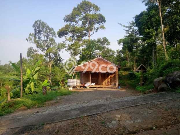 Kavling Tanah di Purwosari Dijual Luas 15000m2 Legalitas SHM Kavling Tanah di Purwosari Dijual Luas 15000m2 Legalitas SHM