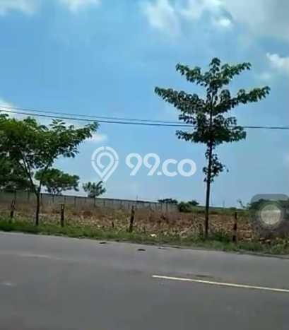 Tanah Kosong Dijual di Tuban dengan Area 40000m2 Tanah Kosong Dijual di Tuban dengan Area 40000m2