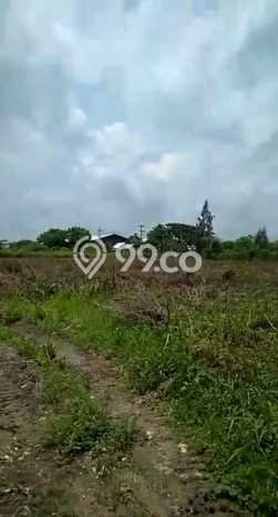 Tanah Kosong Dijual di Tuban dengan Area 40000m2 Tanah Kosong Dijual di Tuban dengan Area 40000m2