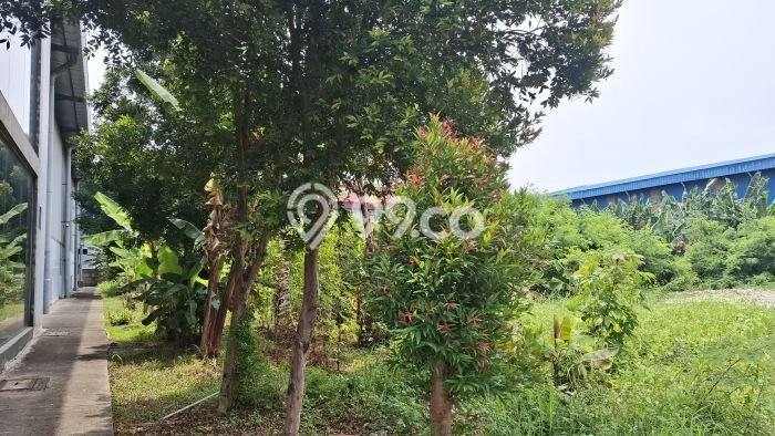 Dijual Tanah Lokasi Marunda, Jakarta Utara Seluas 3m2 Dijual Tanah Lokasi Marunda, Jakarta Utara Seluas 3m2