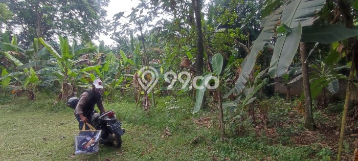 Tanah Kavling di Tajur Halang Dijual dengan Luas 16369m2 Tanah Kavling di Tajur Halang Dijual dengan Luas 16369m2