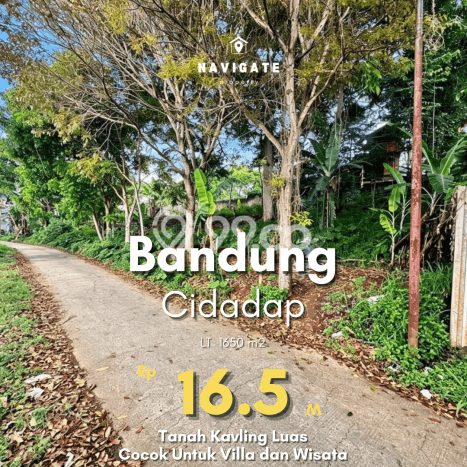 Jarang Ada! Tanah di Cidadap Punya Luas 1650m2 SHM Jarang Ada! Tanah di Cidadap Punya Luas 1650m2 SHM