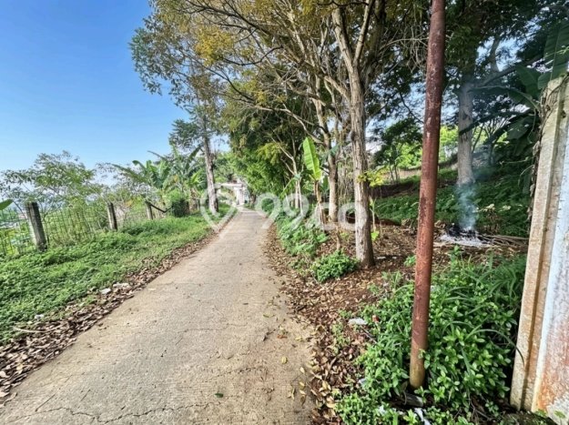 Jarang Ada! Tanah di Cidadap Punya Luas 1650m2 SHM Jarang Ada! Tanah di Cidadap Punya Luas 1650m2 SHM